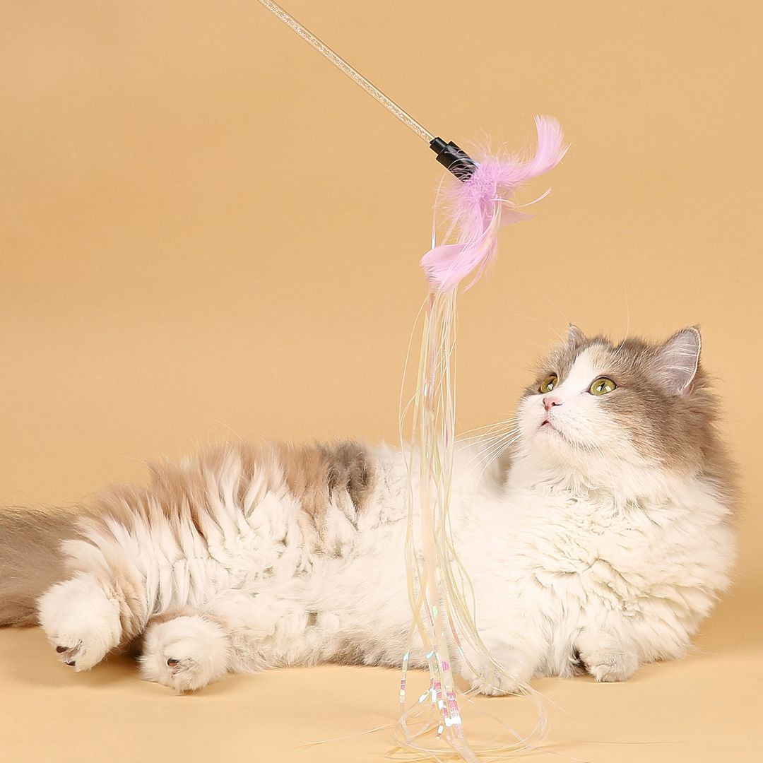 고양이섬 비단결 오로라 스틱 고양이 낚시대 장난감
