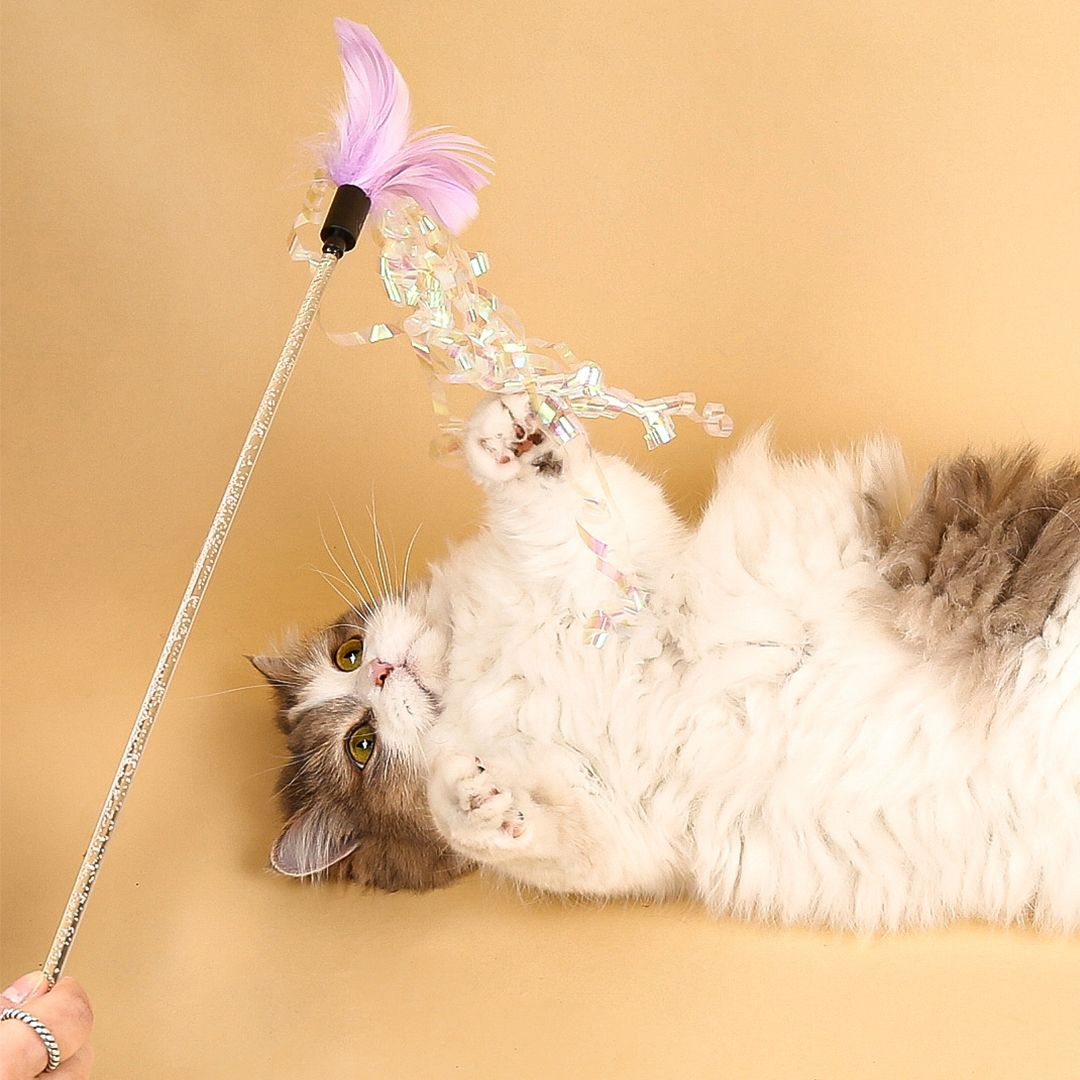 고양이섬 탱글 오로라 스틱 고양이 낚시대 장난감